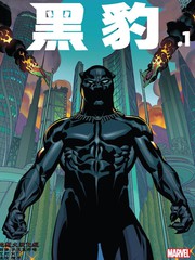 黑豹V6(Black Panther,全新全异黑豹)